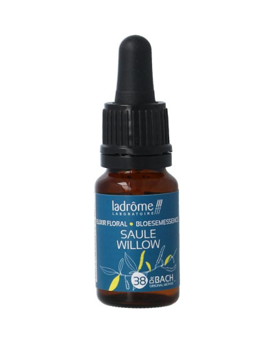 Willow bio