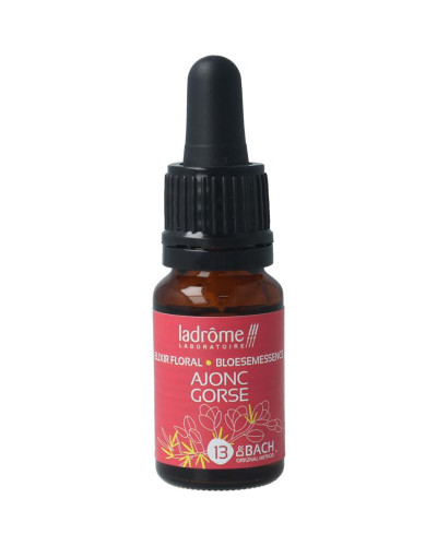 Gorse bio