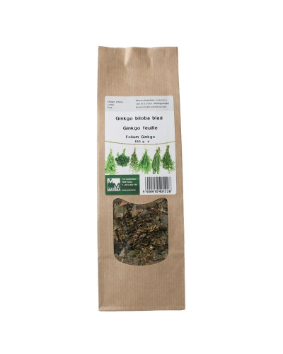 Ginkgo biloba blad