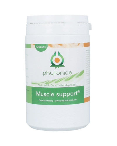 Muscle support humaan
