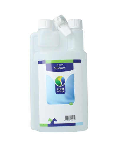 Silicium paard en pony